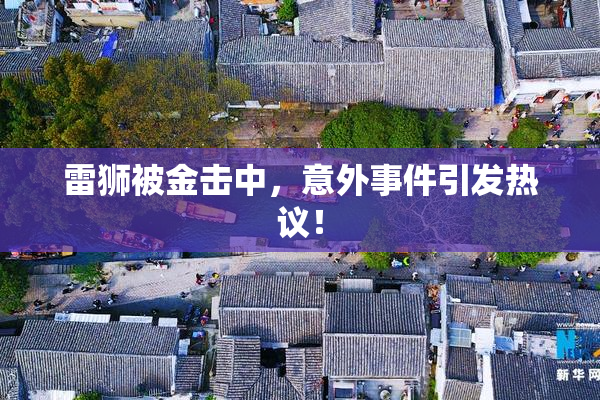 雷狮被金击中，意外事件引发热议！