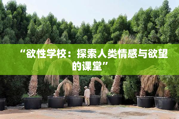 “欲性学校：探索人类情感与欲望的课堂”