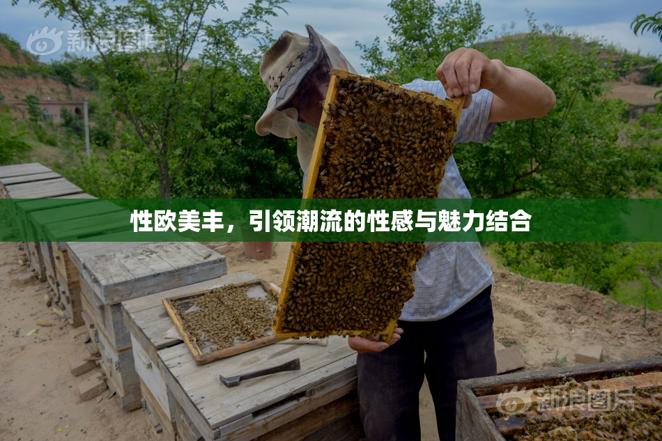 性欧美丰，引领潮流的性感与魅力结合