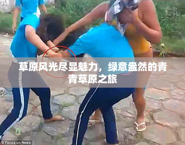 草原风光尽显魅力，绿意盎然的青青草原之旅