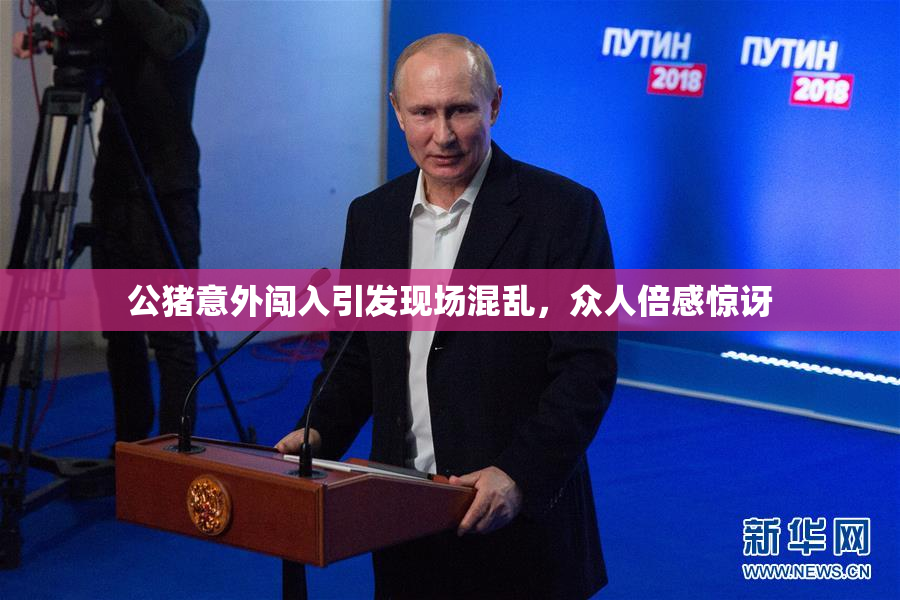 公猪意外闯入引发现场混乱，众人倍感惊讶