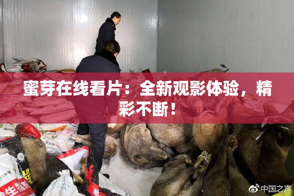 蜜芽在线看片：全新观影体验，精彩不断！