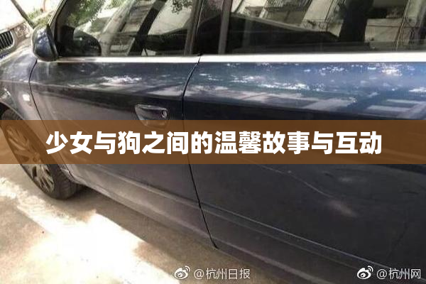 少女与狗之间的温馨故事与互动