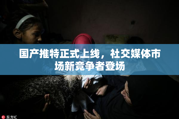 国产推特正式上线，社交媒体市场新竞争者登场