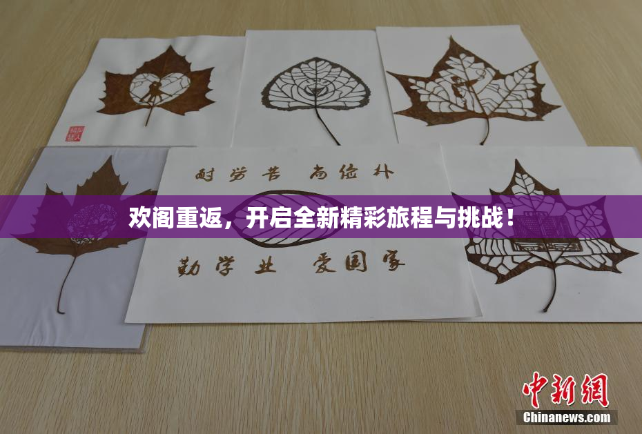 欢阁重返，开启全新精彩旅程与挑战！