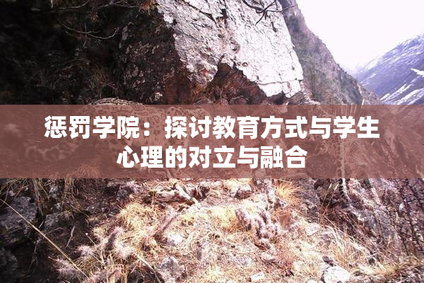 惩罚学院：探讨教育方式与学生心理的对立与融合