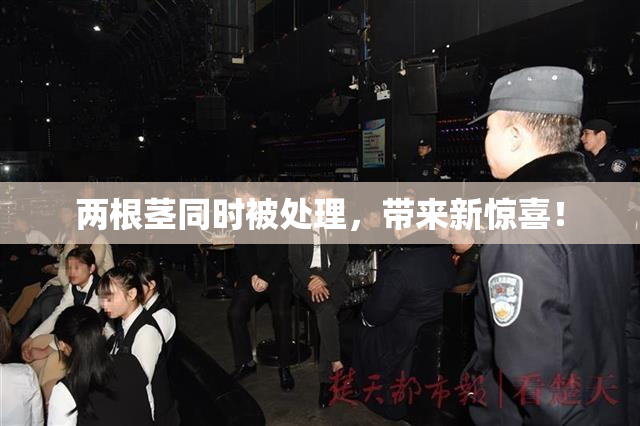 两根茎同时被处理，带来新惊喜！