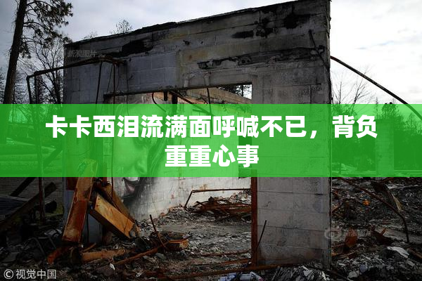卡卡西泪流满面呼喊不已，背负重重心事
