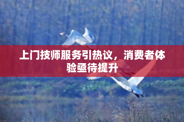 上门技师服务引热议，消费者体验亟待提升