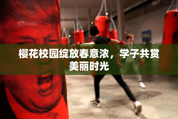 樱花校园绽放春意浓，学子共赏美丽时光