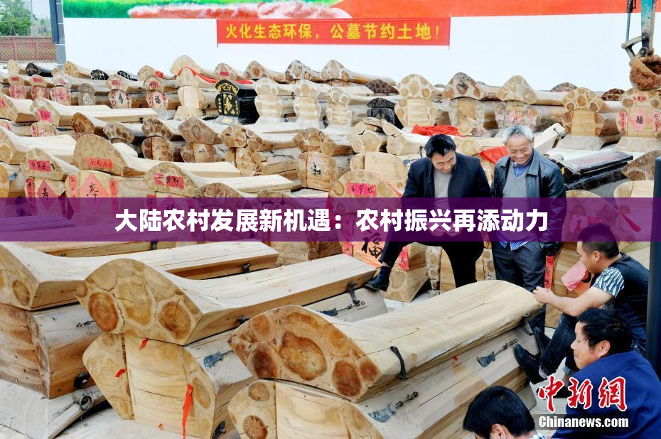 大陆农村发展新机遇：农村振兴再添动力