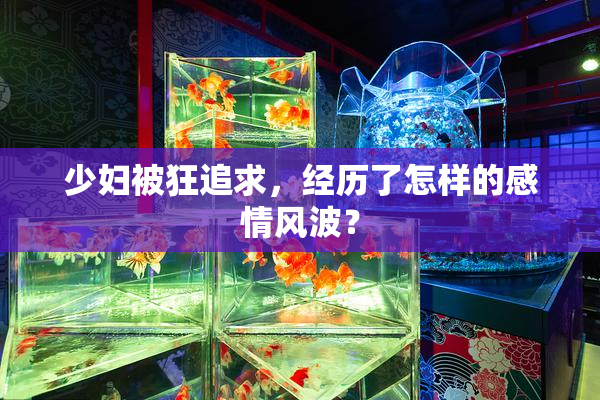 少妇被狂追求，经历了怎样的感情风波？
