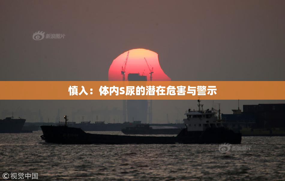 慎入：体内S尿的潜在危害与警示