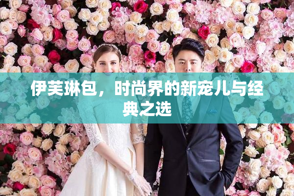 伊芙琳包，时尚界的新宠儿与经典之选