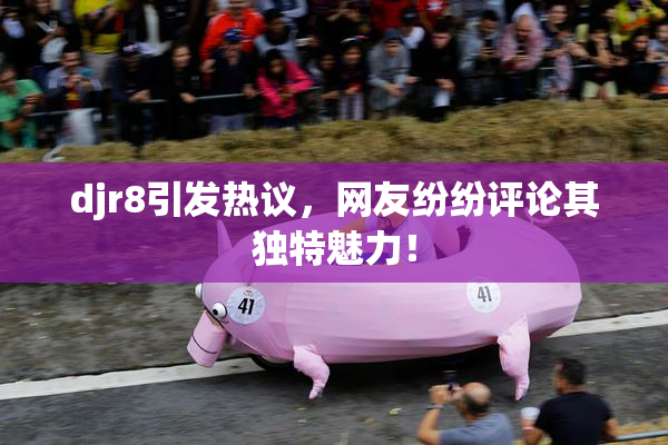 djr8引发热议，网友纷纷评论其独特魅力！