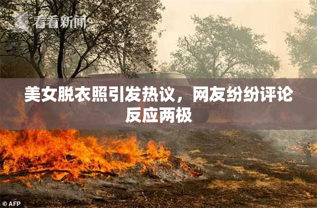 美女脱衣照引发热议，网友纷纷评论反应两极
