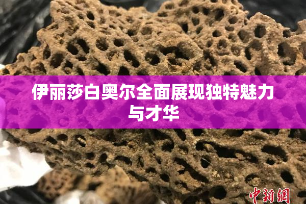 伊丽莎白奥尔全面展现独特魅力与才华