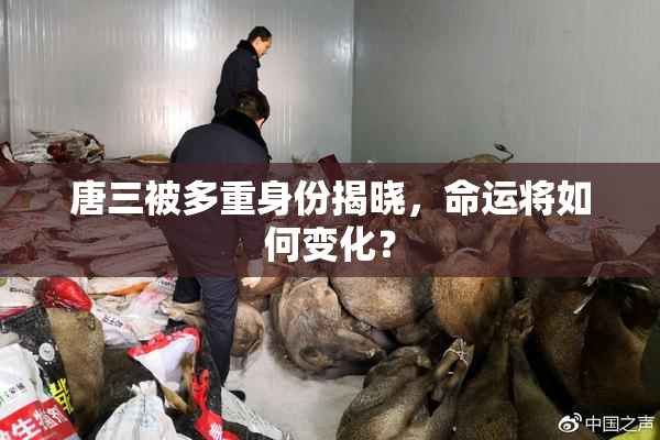唐三被多重身份揭晓，命运将如何变化？