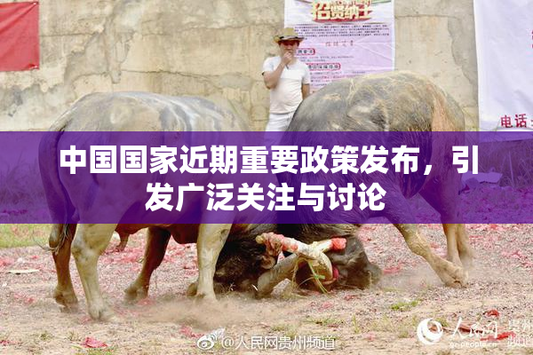 中国国家近期重要政策发布，引发广泛关注与讨论