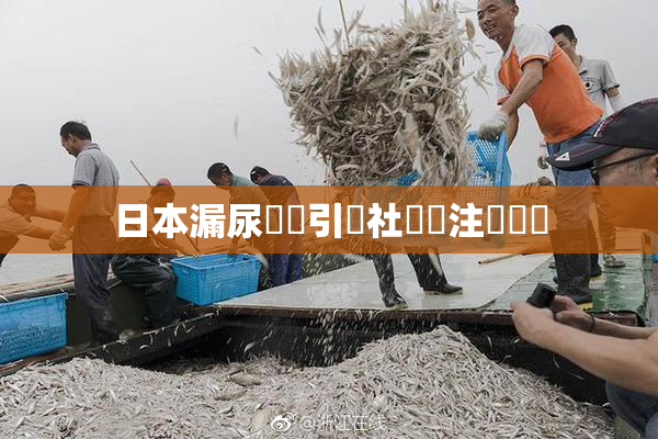 日本漏尿問題引發社會關注與討論