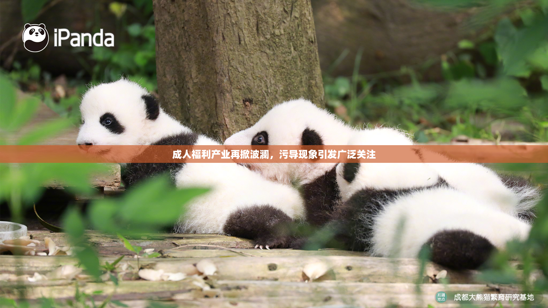 成人福利产业再掀波澜，污导现象引发广泛关注