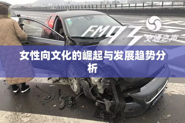 女性向文化的崛起与发展趋势分析