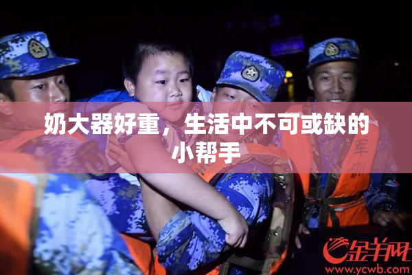 奶大器好重，生活中不可或缺的小帮手