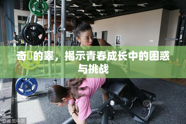 奇犽的睾，揭示青春成长中的困惑与挑战
