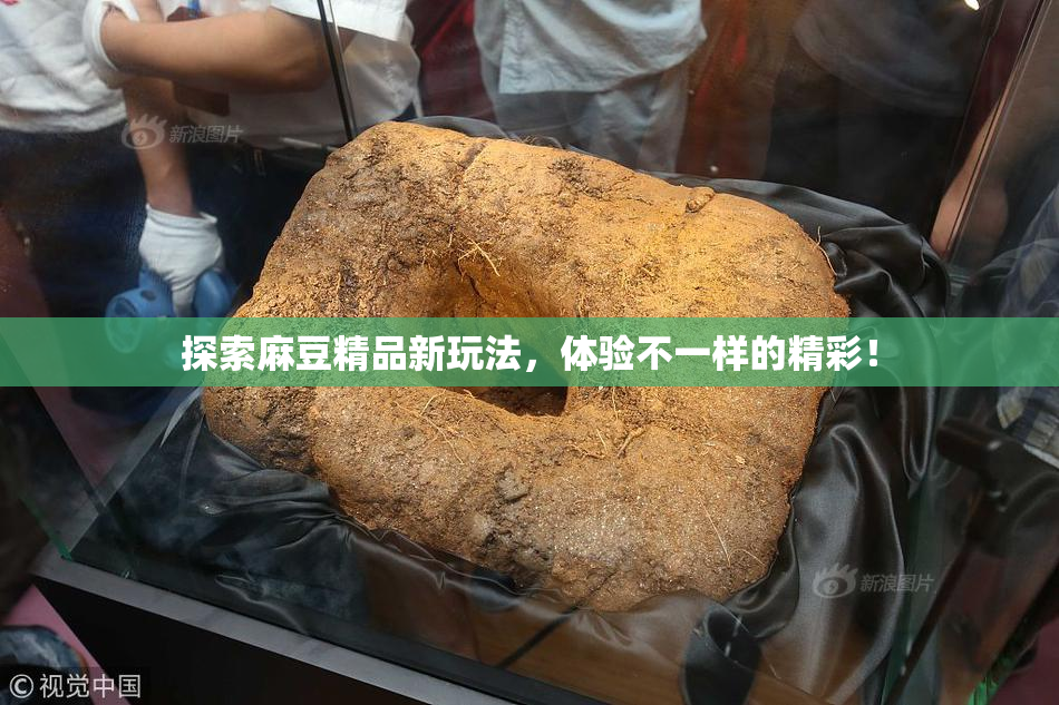 探索麻豆精品新玩法，体验不一样的精彩！