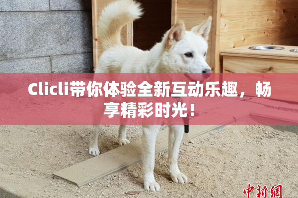 Clicli带你体验全新互动乐趣，畅享精彩时光！