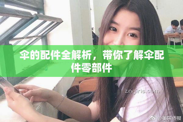 伞的配件全解析，带你了解伞配件零部件