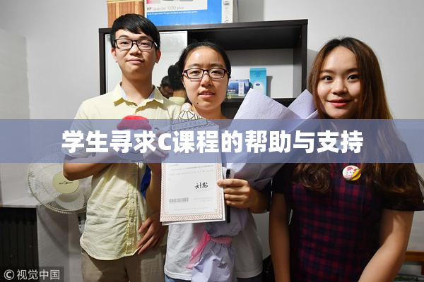 学生寻求C课程的帮助与支持