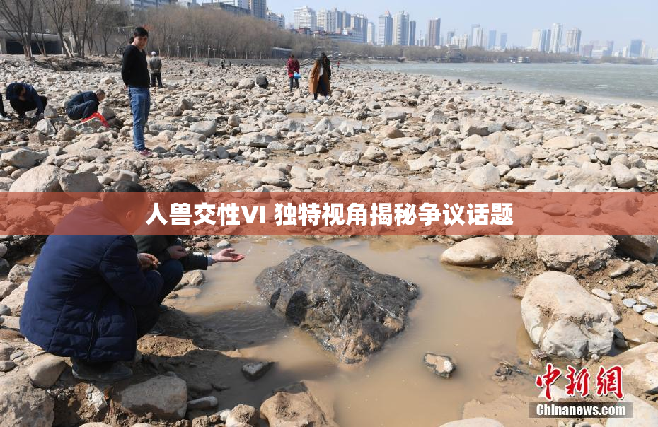 人兽交性VI 独特视角揭秘争议话题