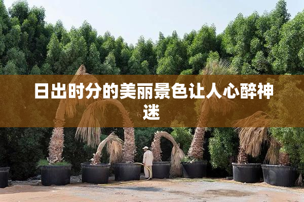 日出时分的美丽景色让人心醉神迷