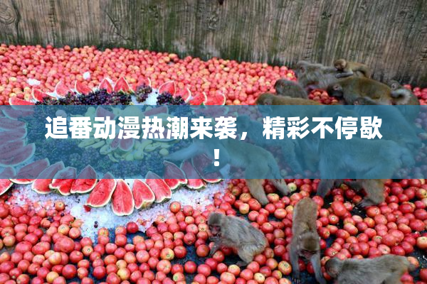 追番动漫热潮来袭，精彩不停歇！