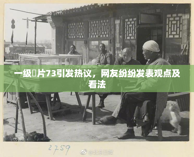 一级婬片73引发热议，网友纷纷发表观点及看法