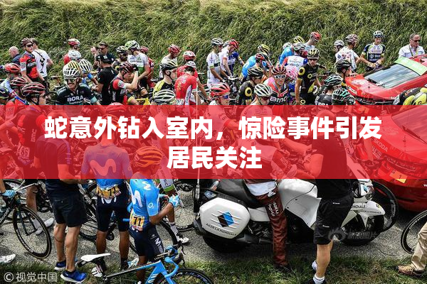 蛇意外钻入室内，惊险事件引发居民关注