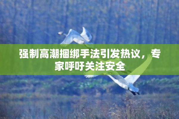 强制高潮捆绑手法引发热议，专家呼吁关注安全