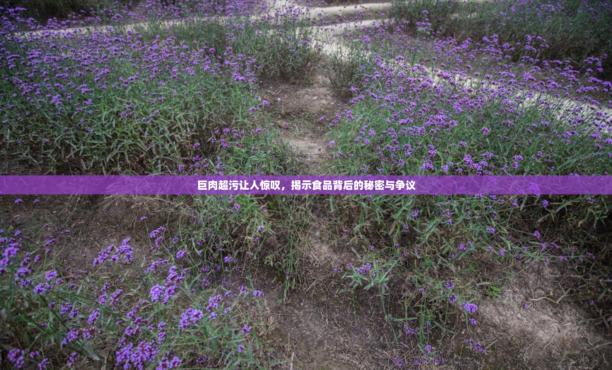巨肉超污让人惊叹，揭示食品背后的秘密与争议