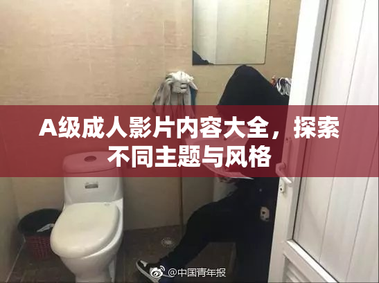 A级成人影片内容大全，探索不同主题与风格