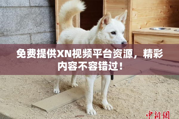 免费提供XN视频平台资源，精彩内容不容错过！