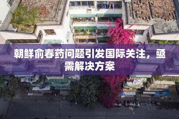 朝鲜俞春药问题引发国际关注，亟需解决方案