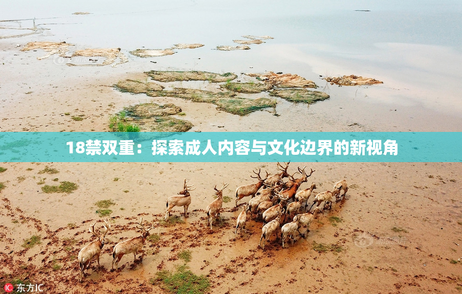 18禁双重：探索成人内容与文化边界的新视角