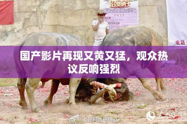 国产影片再现又黄又猛，观众热议反响强烈