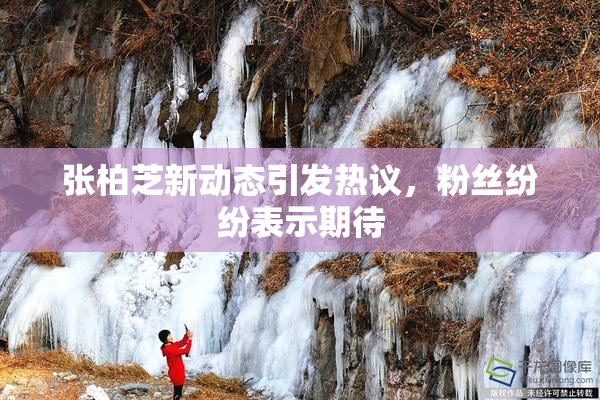 张柏芝新动态引发热议，粉丝纷纷表示期待