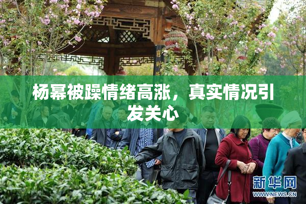 杨幂被躁情绪高涨，真实情况引发关心