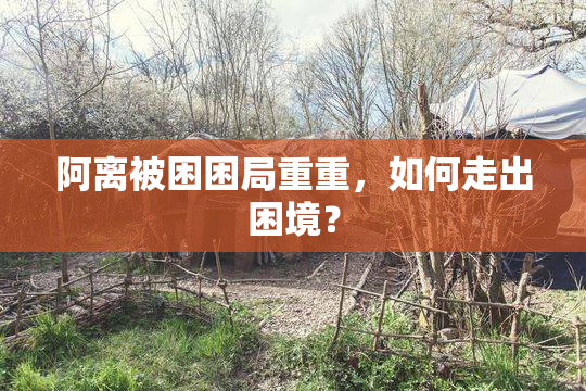 阿离被困困局重重，如何走出困境？