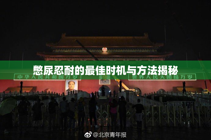 憋尿忍耐的最佳时机与方法揭秘