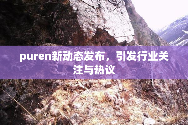 puren新动态发布，引发行业关注与热议