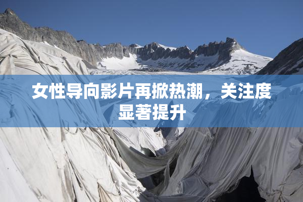 女性导向影片再掀热潮，关注度显著提升